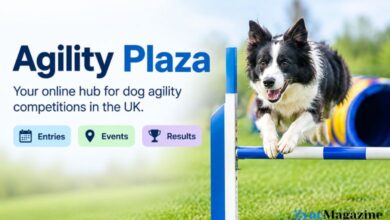 Agility Plaza