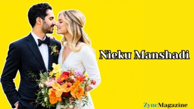 Nieku Manshadi