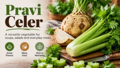 Pravi Celer