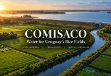 Comisaco