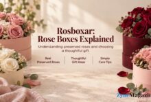 Rosboxar